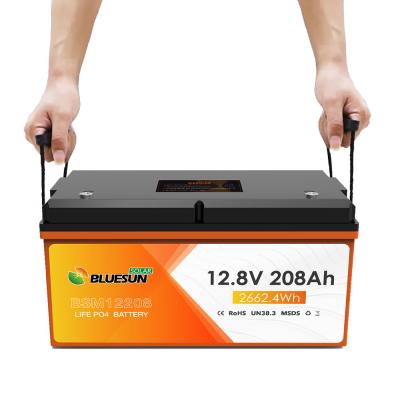 BLUESUN BSM Series BSM12208 Lithium Battery -Bluesun